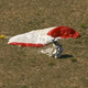 Illustration for article titled Red Bulls Insane 24 Mile Supersonic Stratos Space Jump Has Been A Success